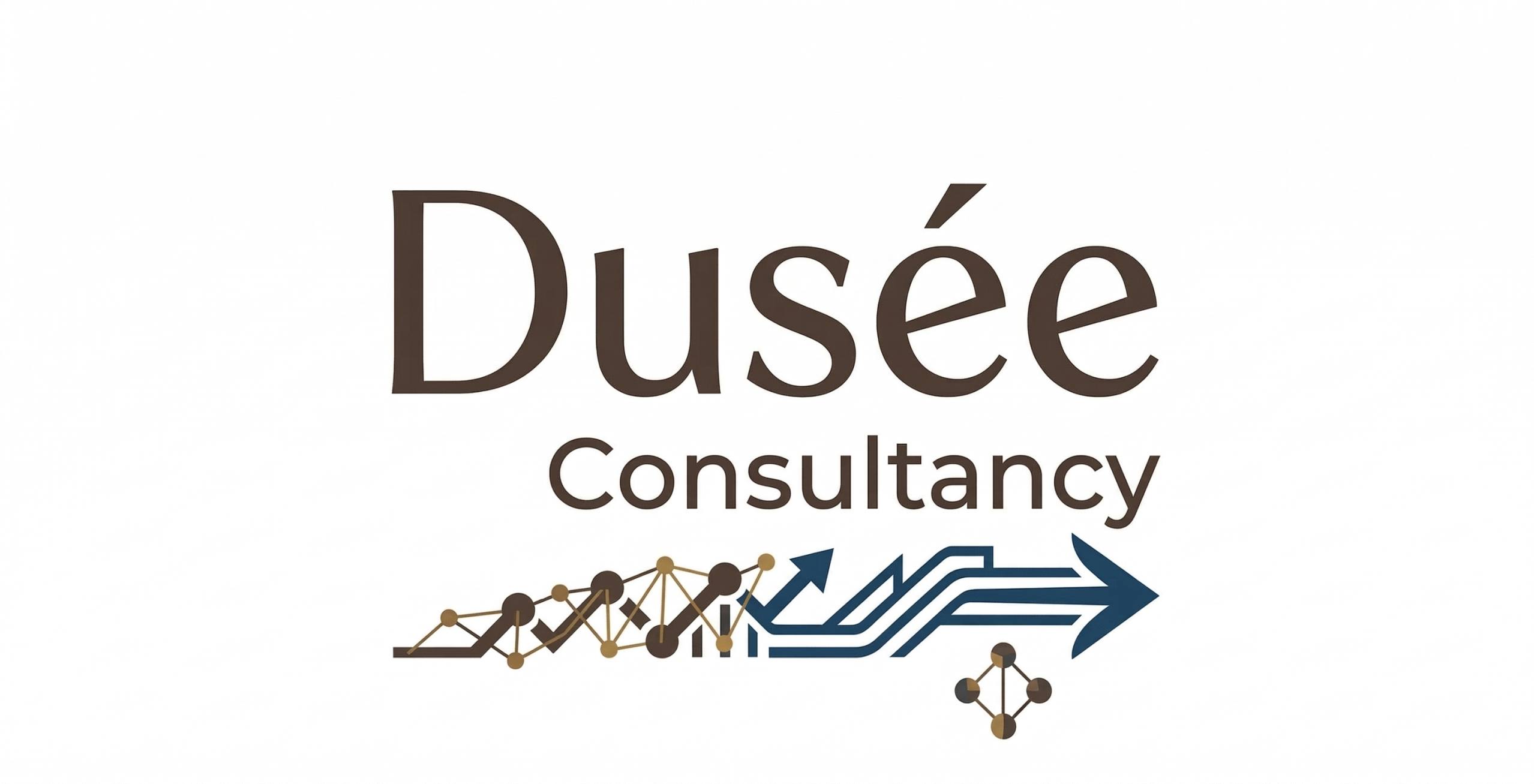 Dusée Consultancy